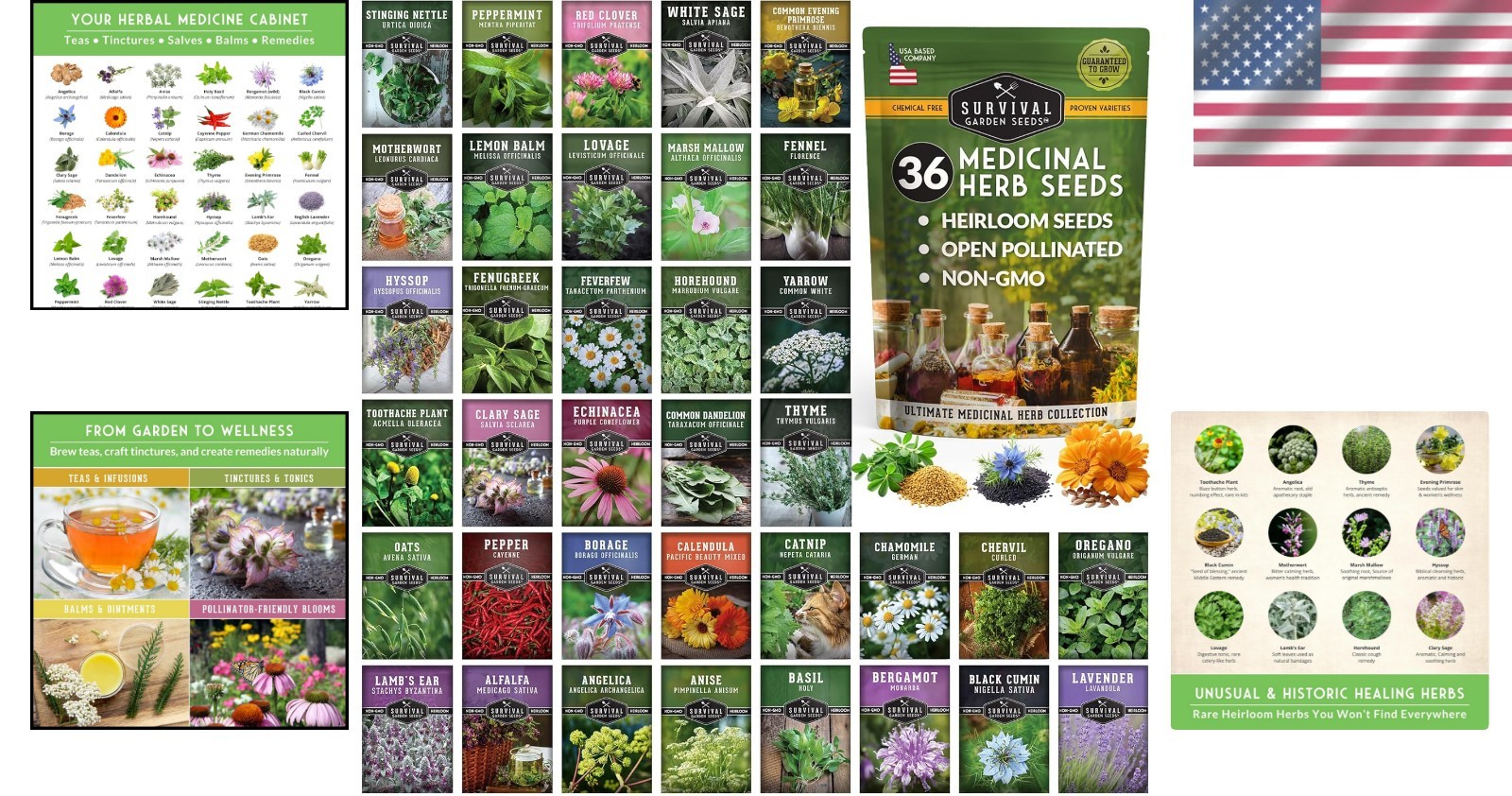 All-in-One Medicinal Herb Seed Kit – 36 Non-GMO Varieties for Natural Remedies
