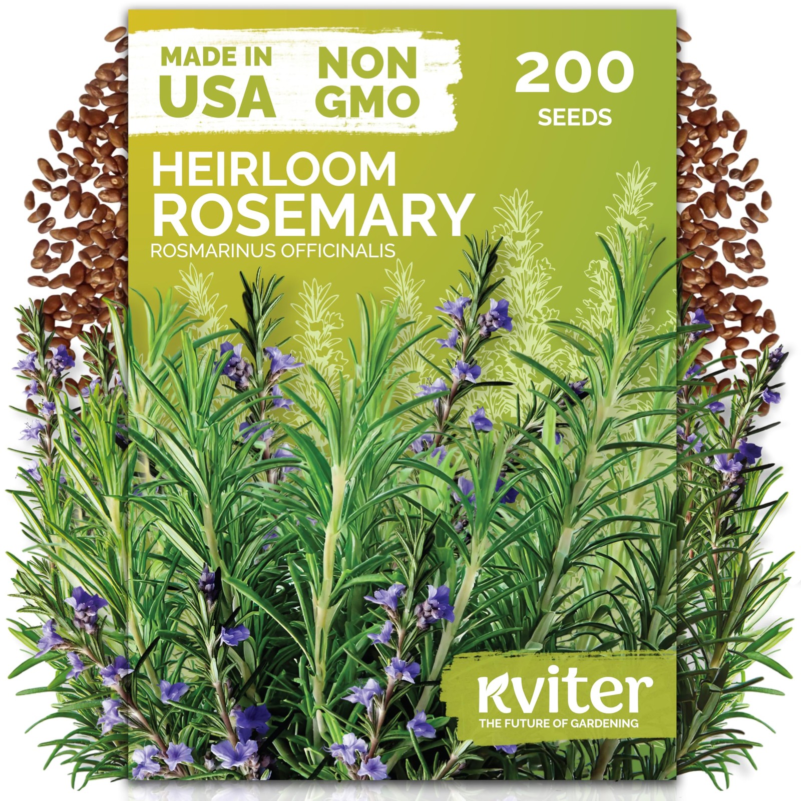 KVITER 200 Rosemary Seeds (Rosmarinus Officinalis)