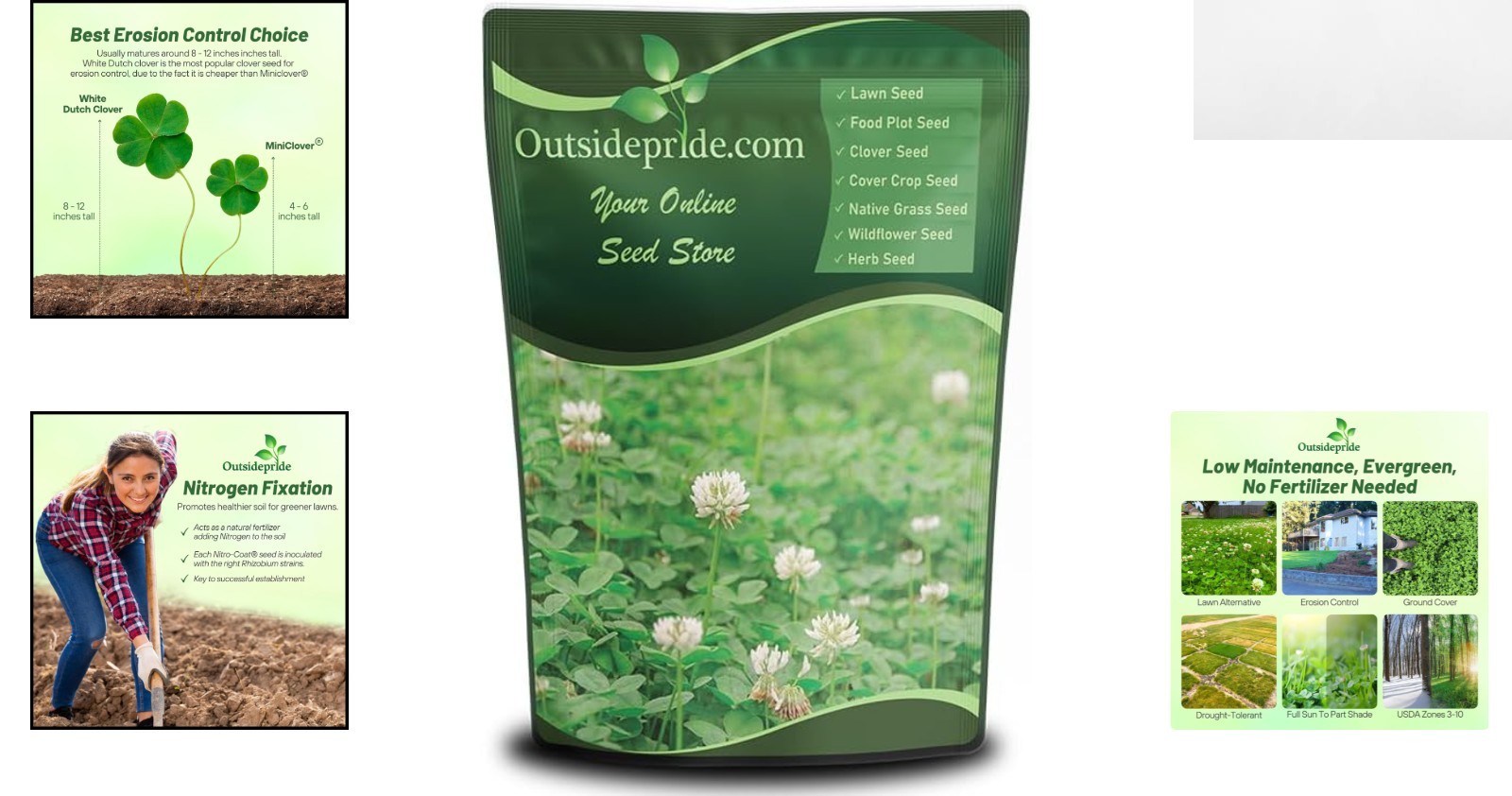 Attractive White Clover Seed – 2 lbs. for USDA Zones 3-10 & Minimal Water Needs