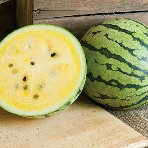 Yellow Petite Watermelon Seeds | Non-GMO | Free Shipping | Seed Store | 1049