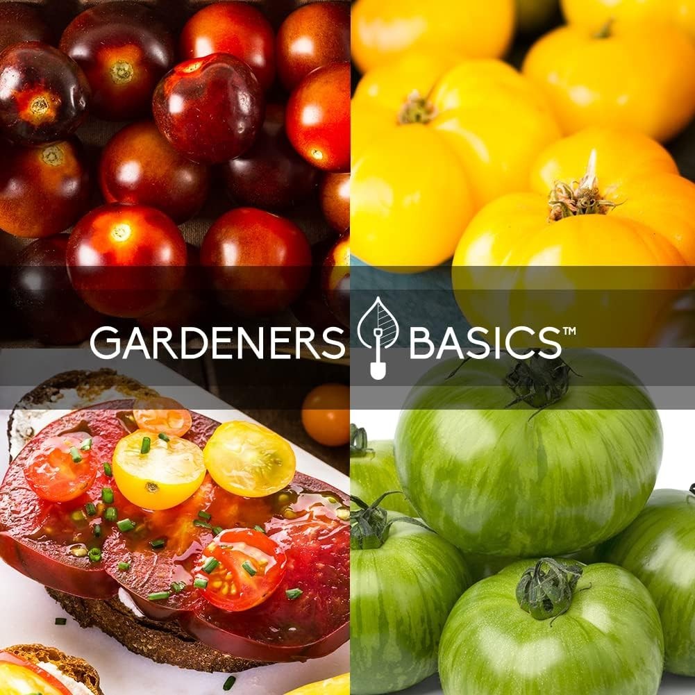 Cherokee Purple, Black Krim, Pineapple Tomato Seeds – 5 Pack