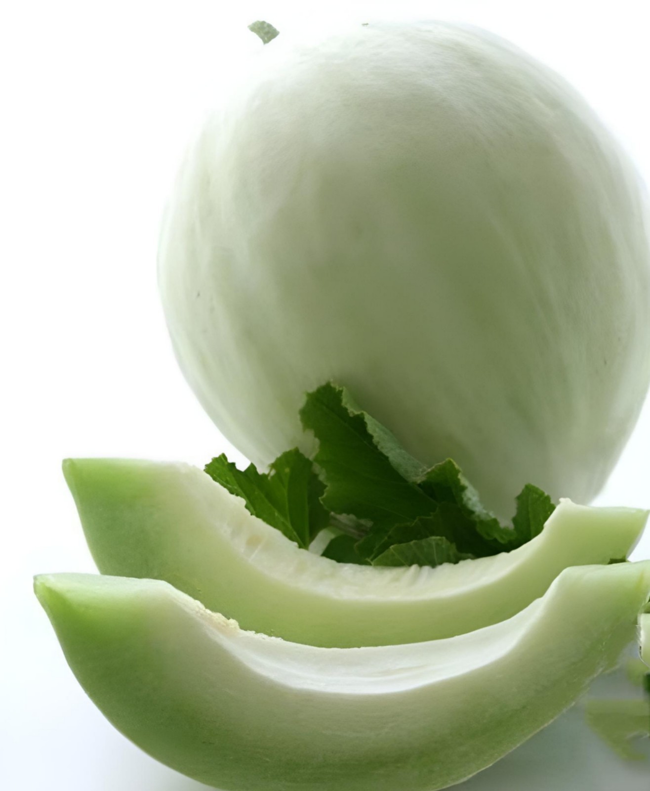 100 Melon Seeds – Honeydew – Green Flesh| NON-GMO