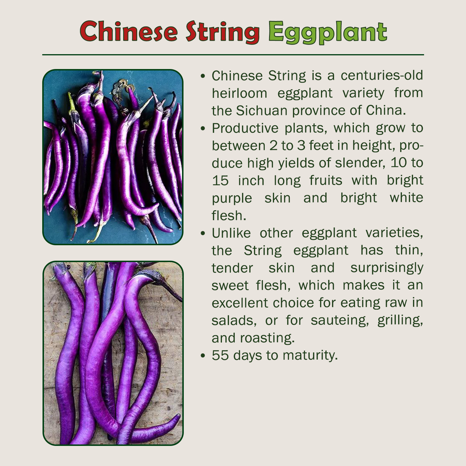 25 Chinese String Eggplant Seeds, Solanum melongena, Organic, Non-GMO, USA