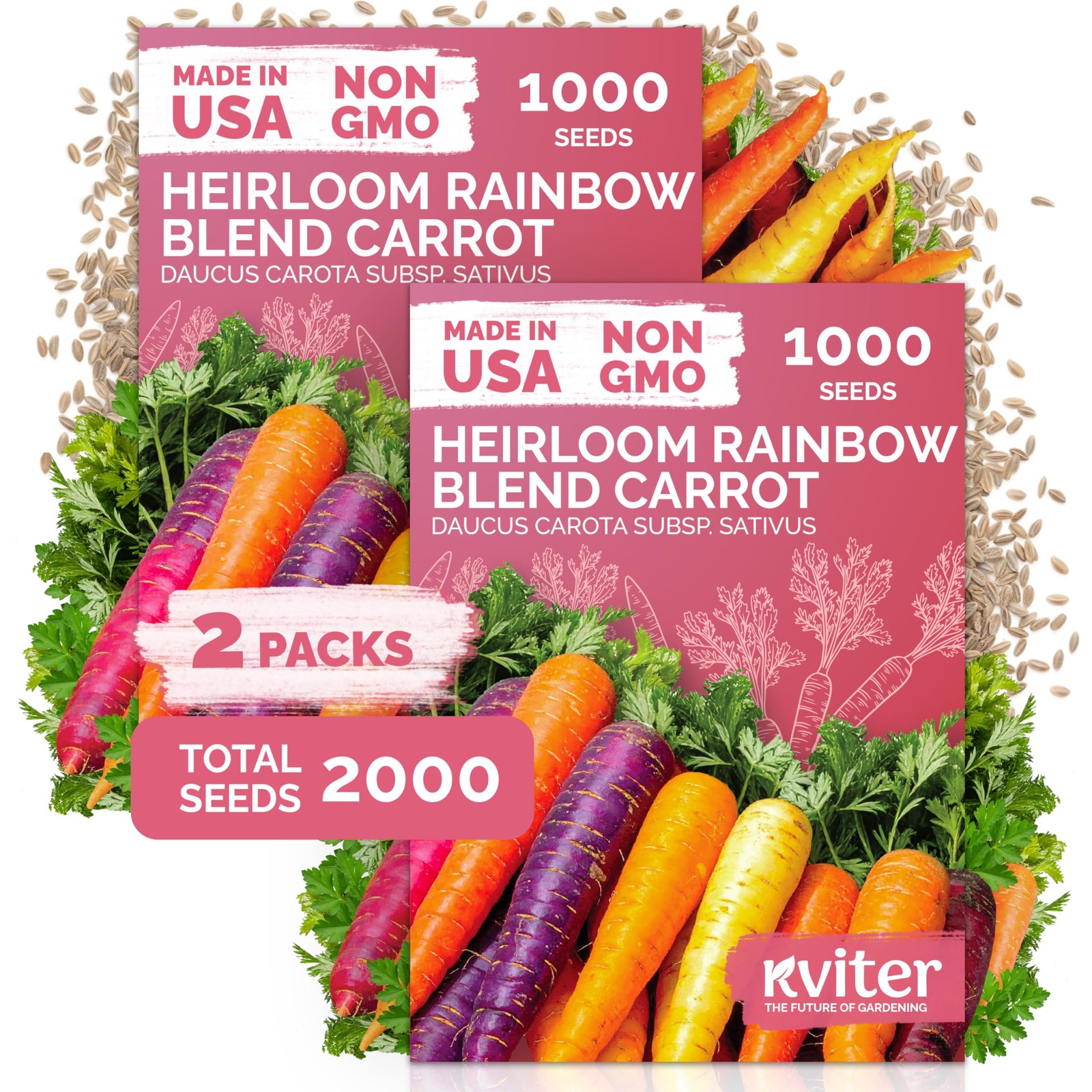 KVITER 2,000 Rainbow Carrot Seeds (Daucus Carota), 2 Pack