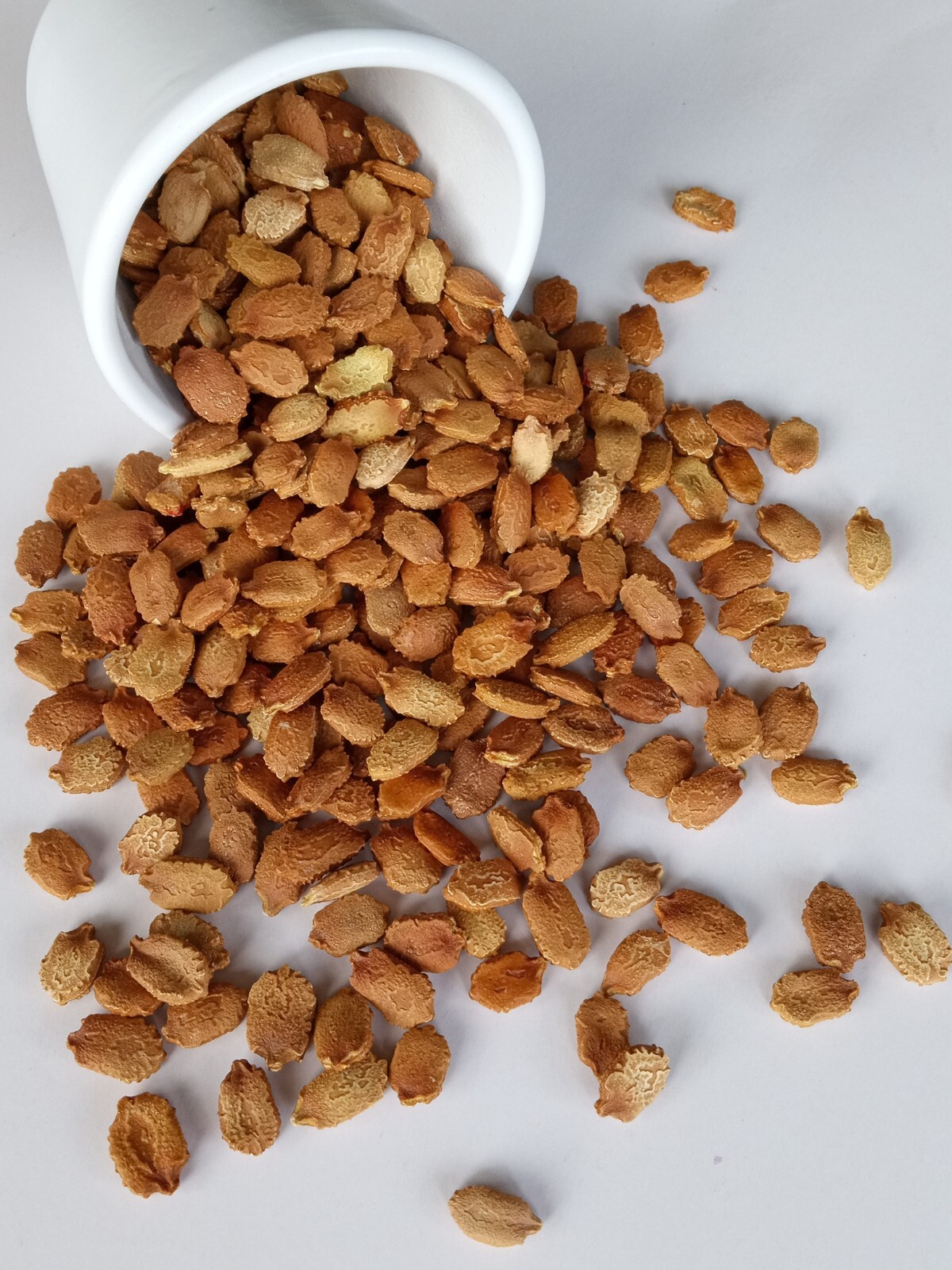 15 Chinese Bitter Melon Vegetable Gourd Squash Seeds 有机苦瓜种子 – Heirloom Variety