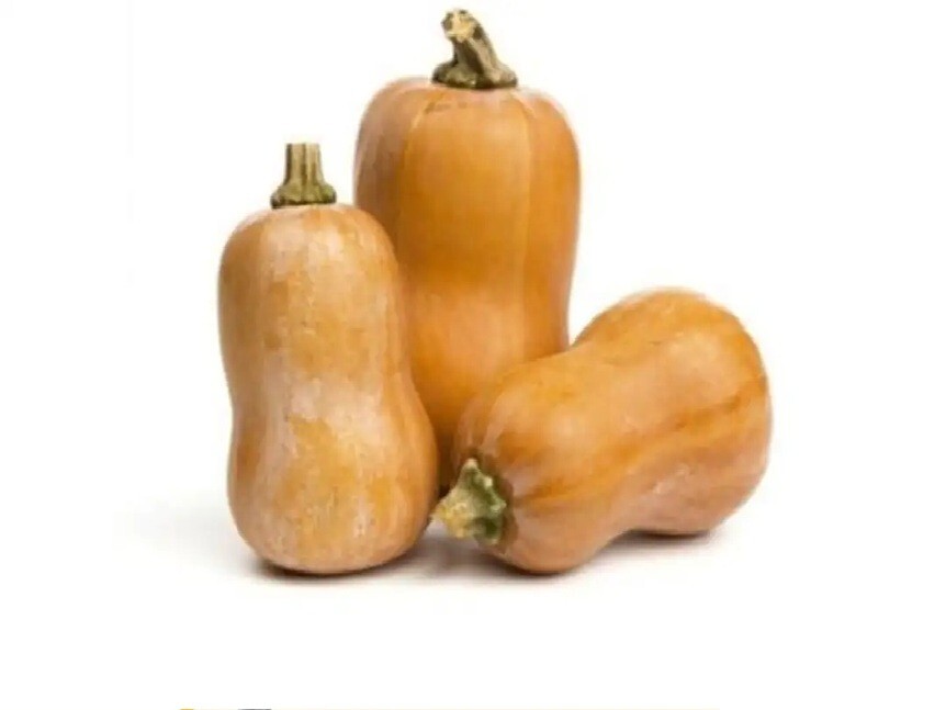 10+ Honeynut Squash Honey Butternut Seeds Cucurbita Baby Buttercup Vegetable