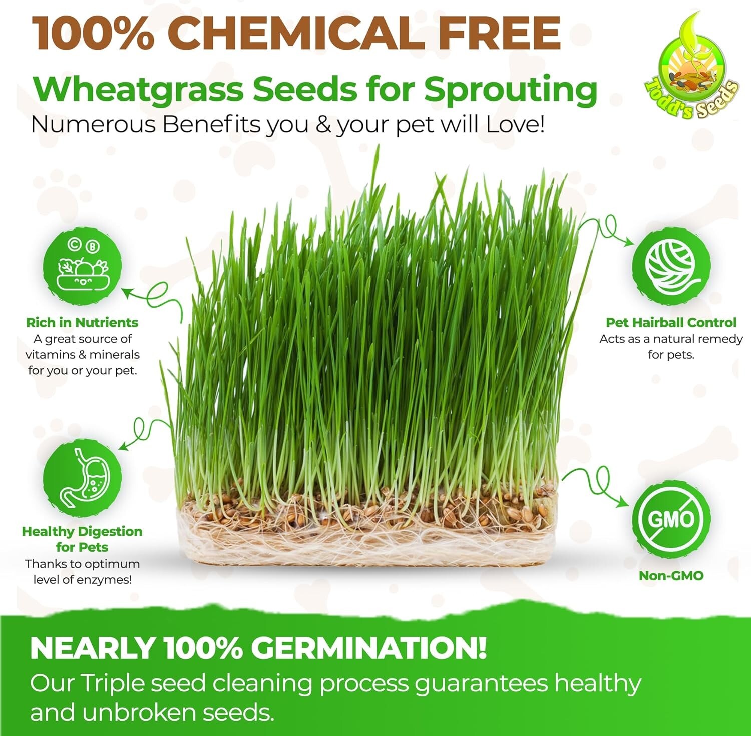 1lb Pet-Safe Wheatgrass for Cats – Todd’s Non-GMO Grass, Easy Indoor Growing