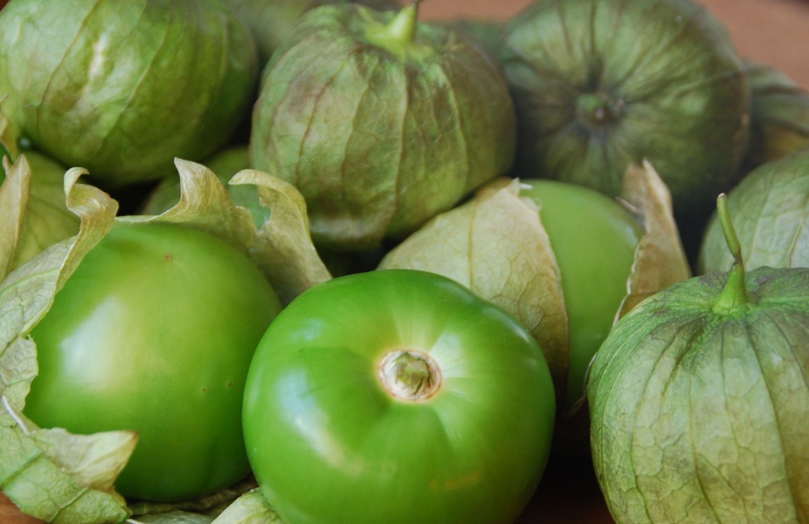 125+ Grande Rio Verde Tomatillo Seeds – Large Green Fruit – Heirloom, Non-GMO