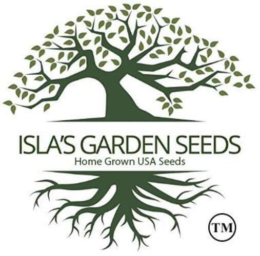 Purple Plum Radish Seeds (Raphanus sativus) – 150+ Heirloom Non-GMO Seeds by
