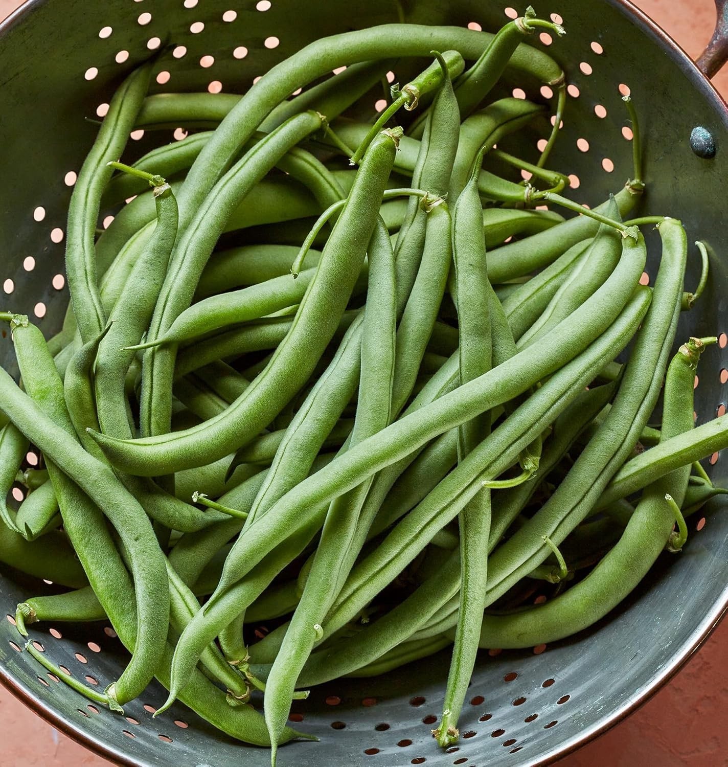 Blue Lake 274 Bush Bean Seeds – GMO-Free Heirloom for Healthy Gardens, 2 Oz