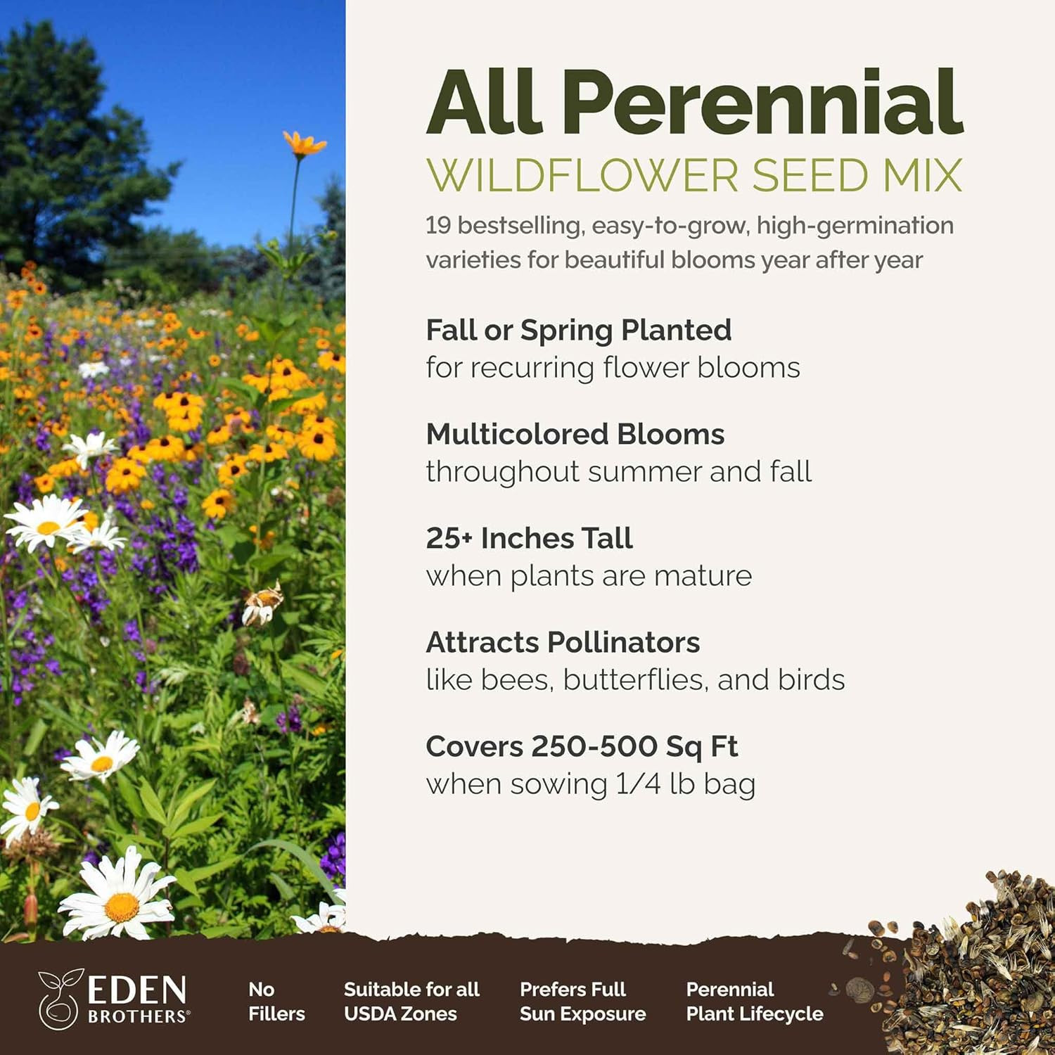 All Perennial Wildflower Mixed Seeds for Planting, 1/4 Lb, 120,000+ Seeds with L