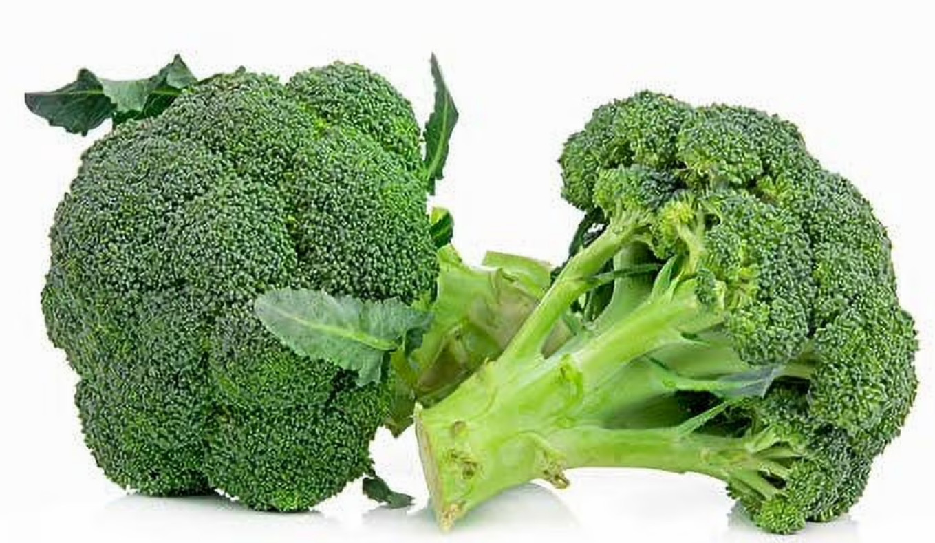 800+ Broccoli Seeds – Waltham 29
