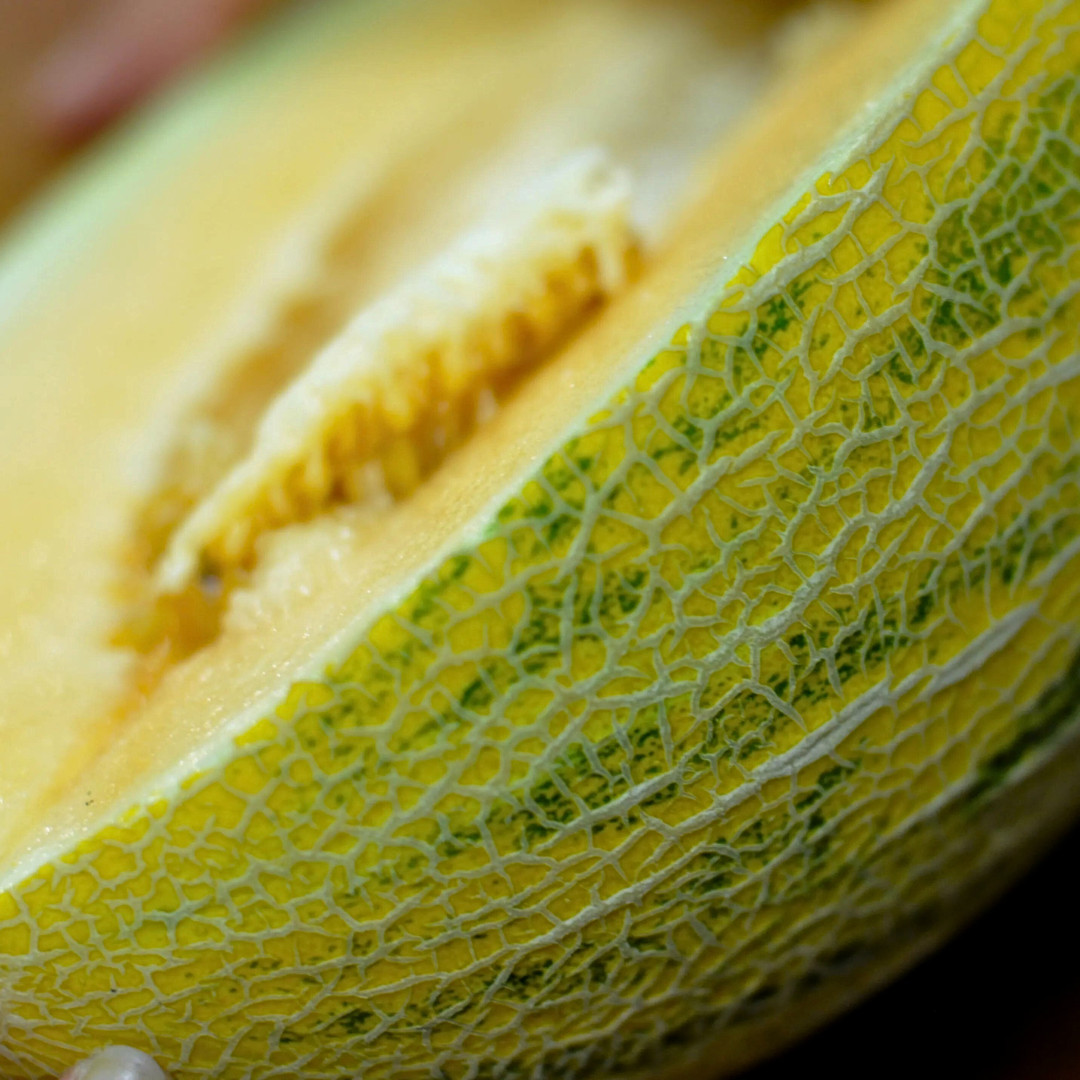 Fresh Sweet Delicious Hami Melon Seeds | Heirloom Non-GMO | Asian Fruit Seeds