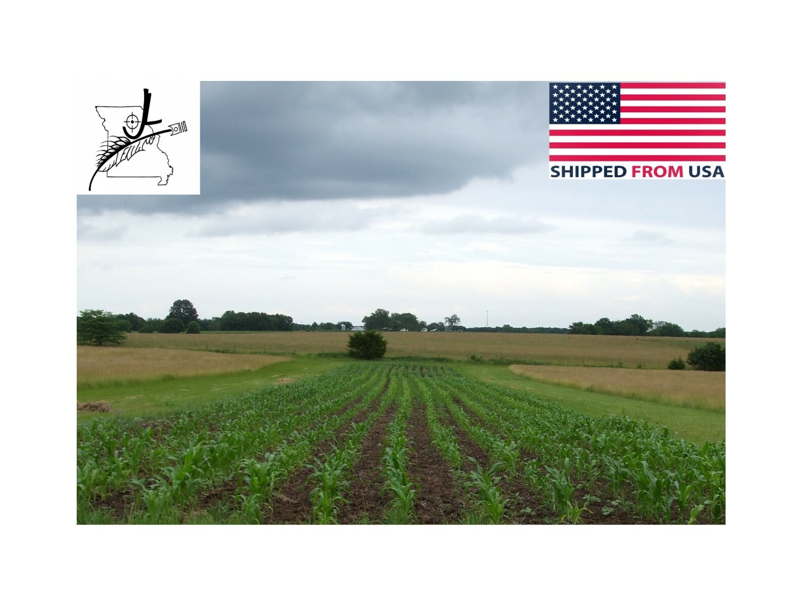 10LB Pound Reid’s Yellow Dent Field Corn Open Pollinated Non GMO Reids USA Pound
