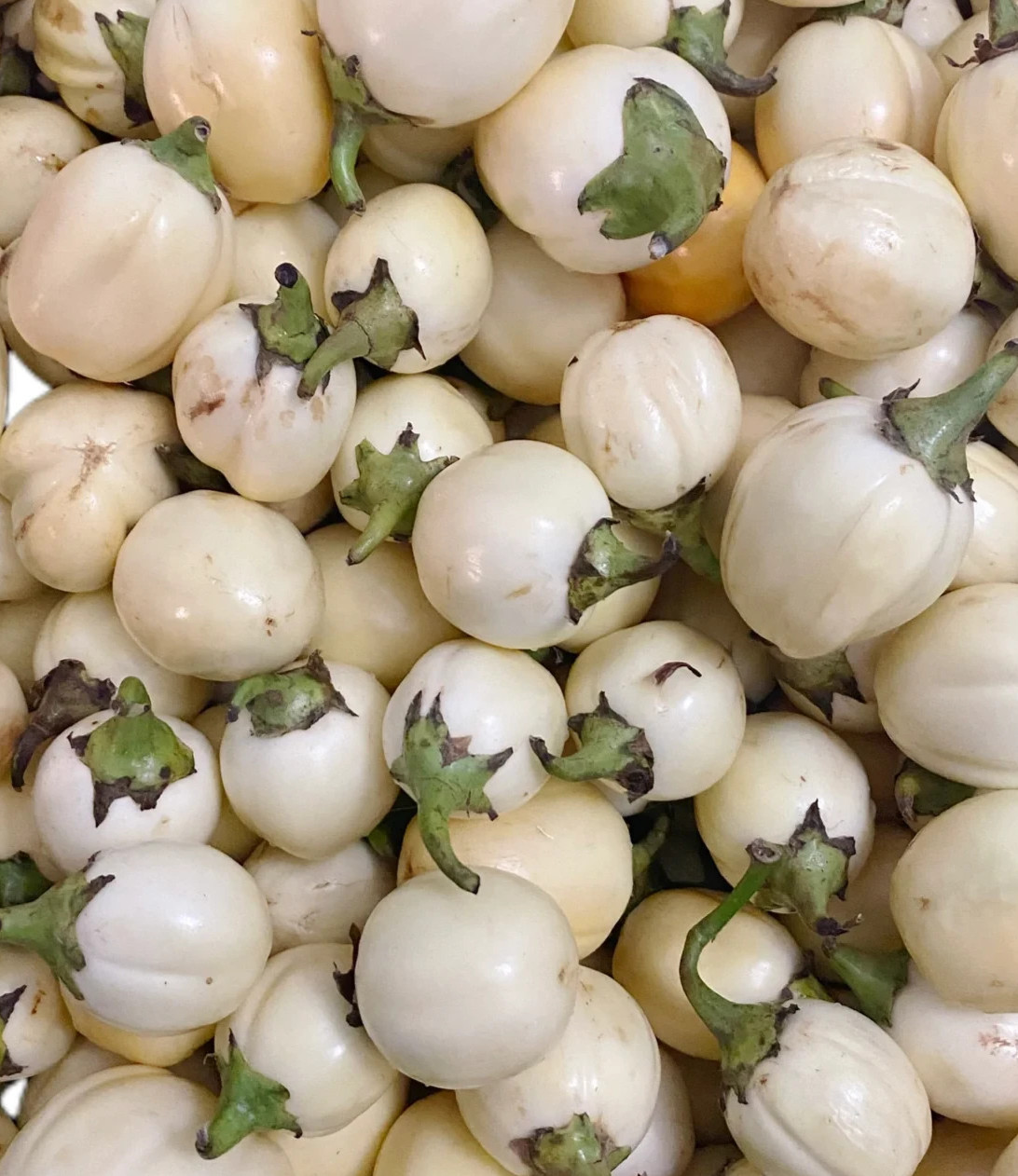 50+ African Garden Eggs Seeds! Non-Gmo. Organic . Garden Plant Seeds . Planting