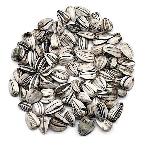 Sunflower Seeds (Mammoth Gray Stripe) – Approx 80 Flower Seeds – Premium Non