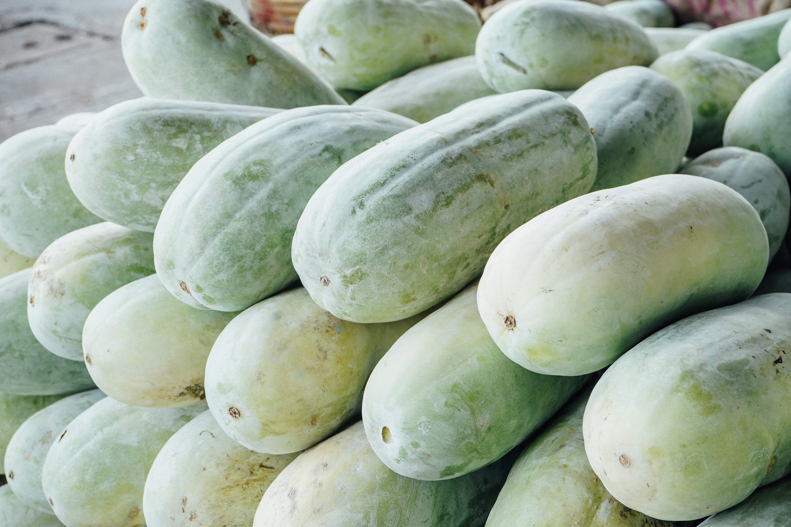 20 WAX GOURD Winter Melon White Ash Benincasa Hispida Vegetable Seeds *Comb S/H