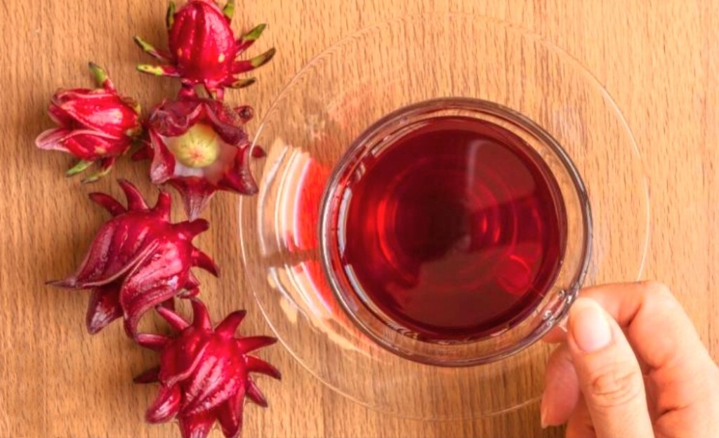 50 Roselle Seeds Jamaican Sorrel Seeds Florida Cranberry Hibiscus Sabdariffa