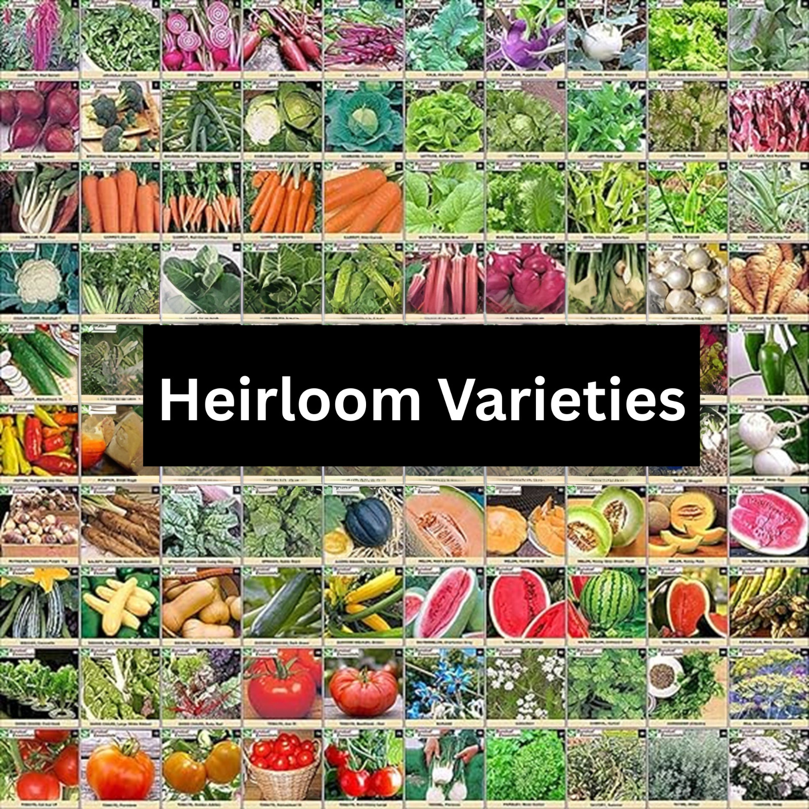 Heirloom Garden Seeds | Non-GMO Vegetable & Herb Seeds | Survival Gardening