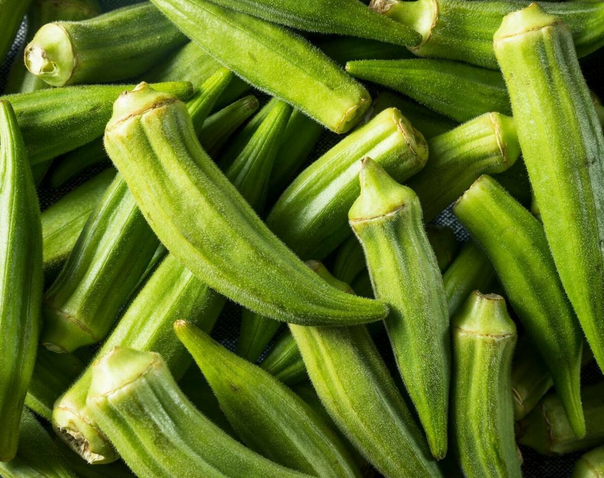 CLEMSON SPINELESS OKRA SEEDS 50+ SUMMER vegetable GARDEN CULINARY FREE SHIPPING