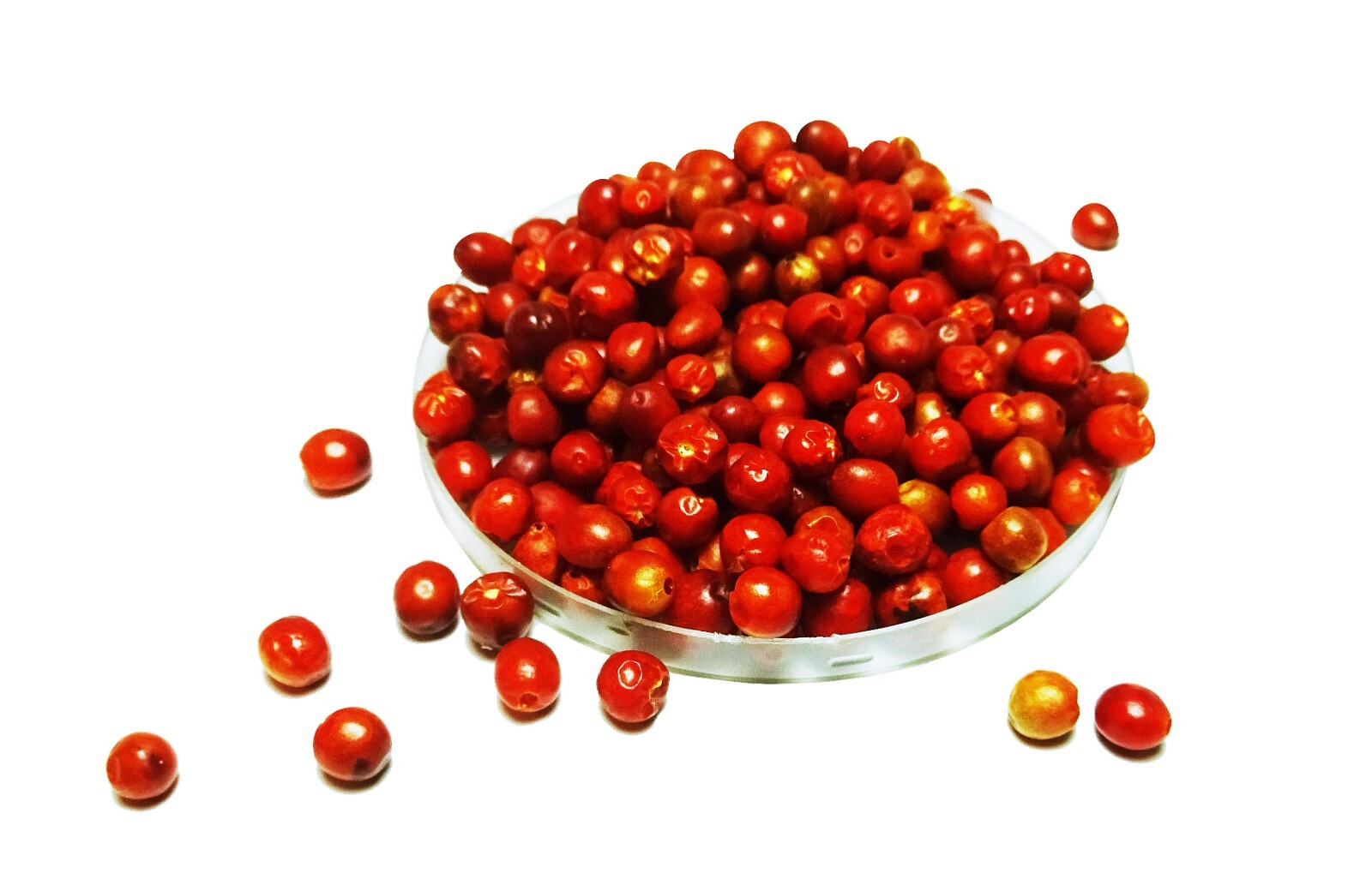 Chiltepin Pepper Seeds (Chilli Seeds) Bulk: (8 oz, 12 oz, 1 lb, 2 lbs, & 5 lbs)