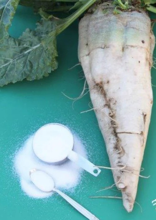 Sugar Beet- 1 TBS (300-325 Seeds)