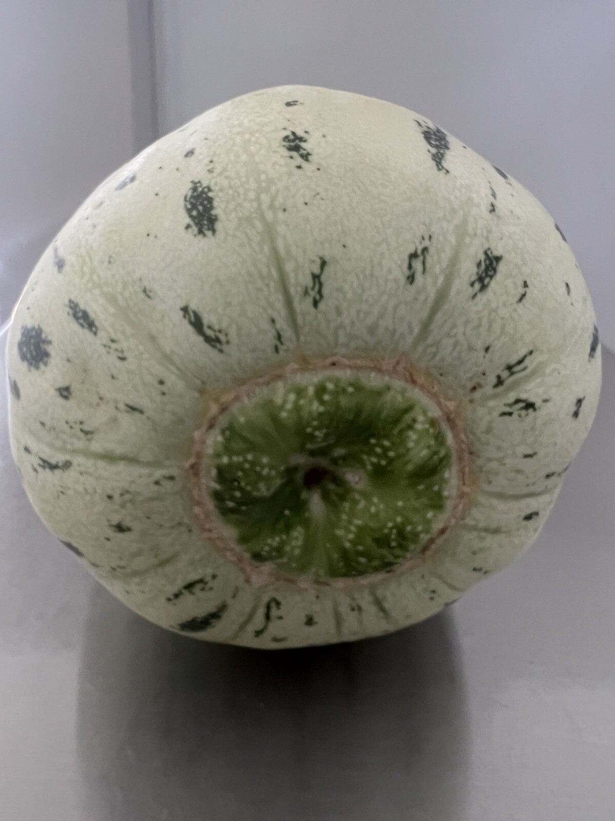 Exotic fruit seed-Chinese green super sweet melon seeds 12+ prepared for 2024
