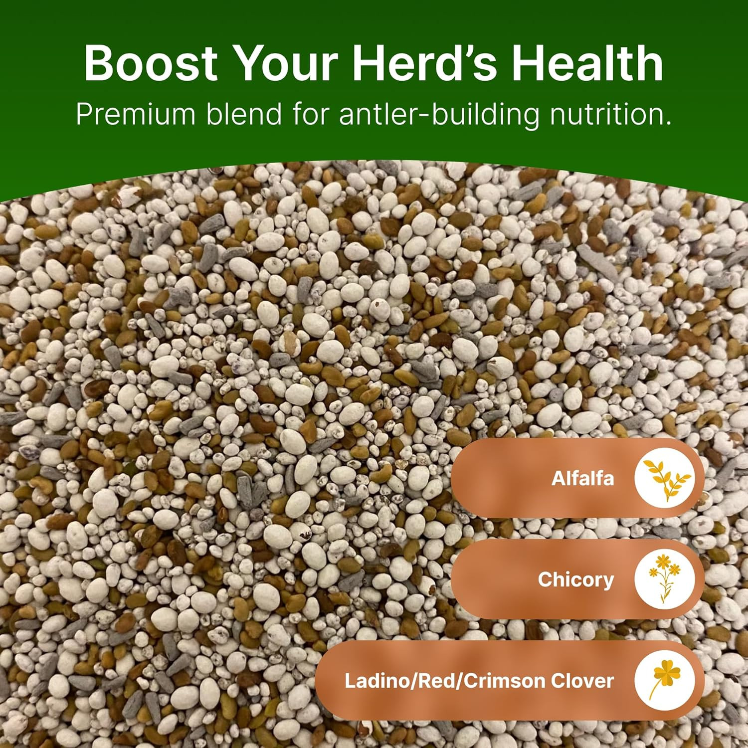 Premium Alfalfa & Clover Deer Food Plot Seeds – Perennial Blend