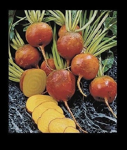Burpee’s Golden Beets {30,100,200,400} Seeds Heirloom treated 55 days Bulk