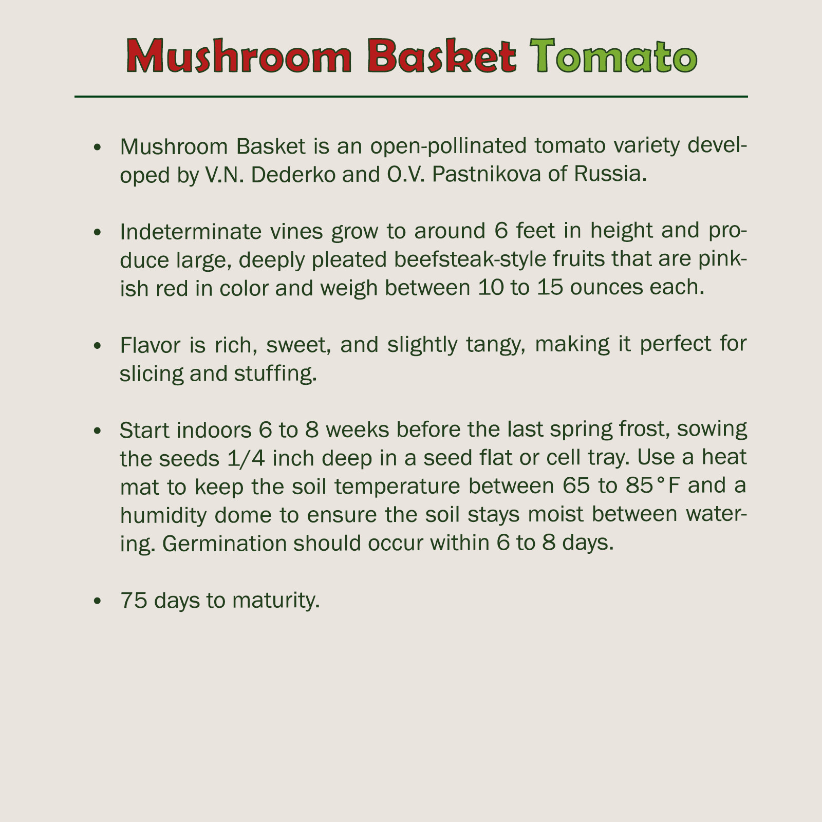 10 Mushroom Basket Tomato Seeds, Organic, Open-Pollinated, Non-GMO, Genuine USA