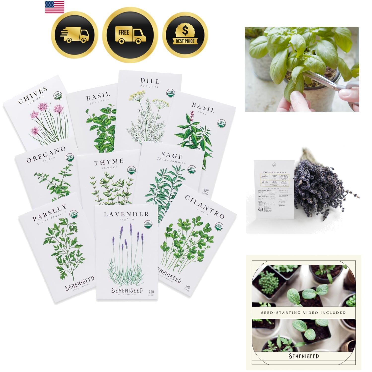 Certified Organic Herb Seeds 10-Pack – Non GMO, Heirloom – Seed Starting Vide…