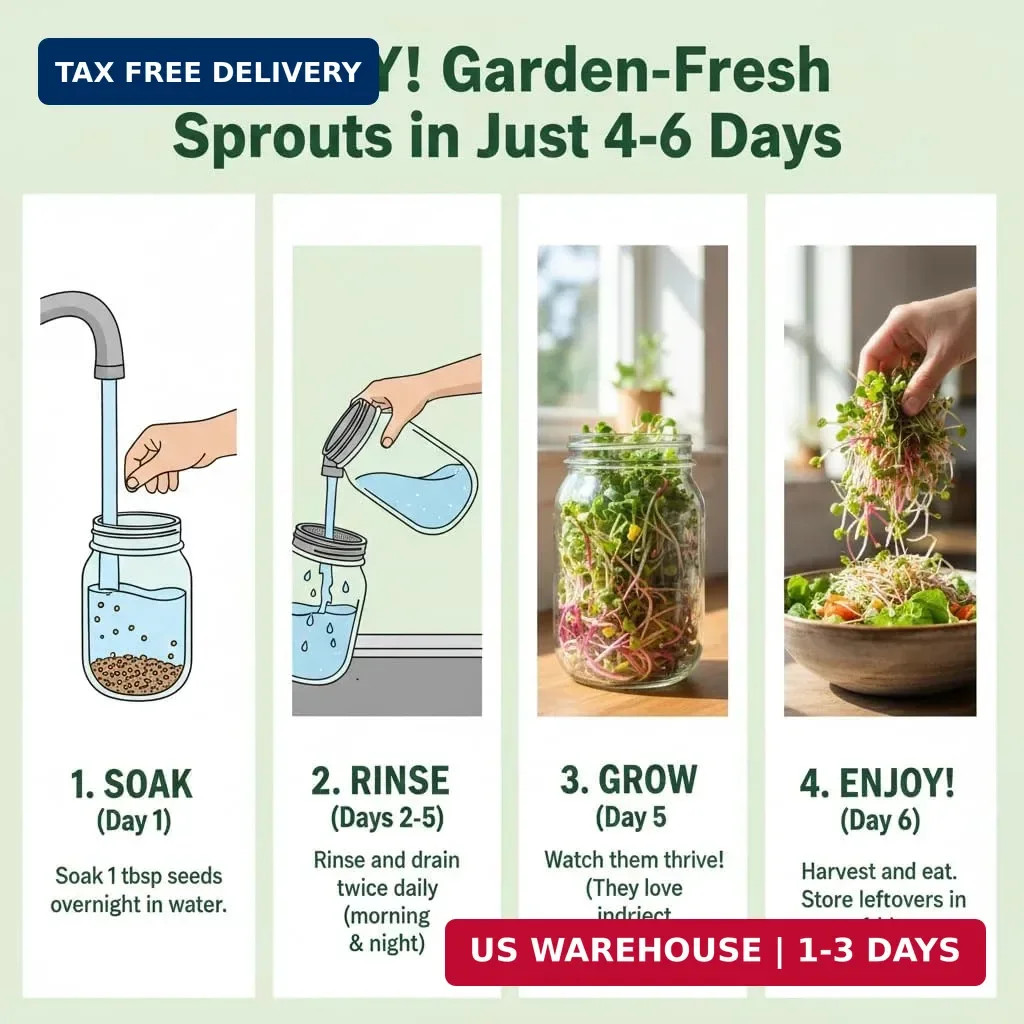Todd’s Seeds Broccoli and Friends Sprouting Seed Mix (1/4 Pound) | Broccoli, Cri