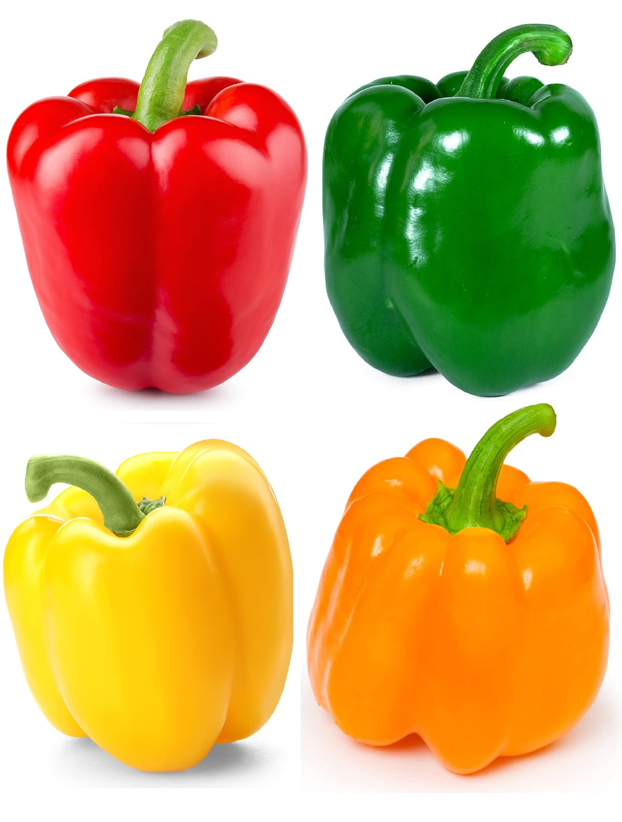 Bell Pepper Seeds Collection Red, Yellow, Orange, Green for Home Garden