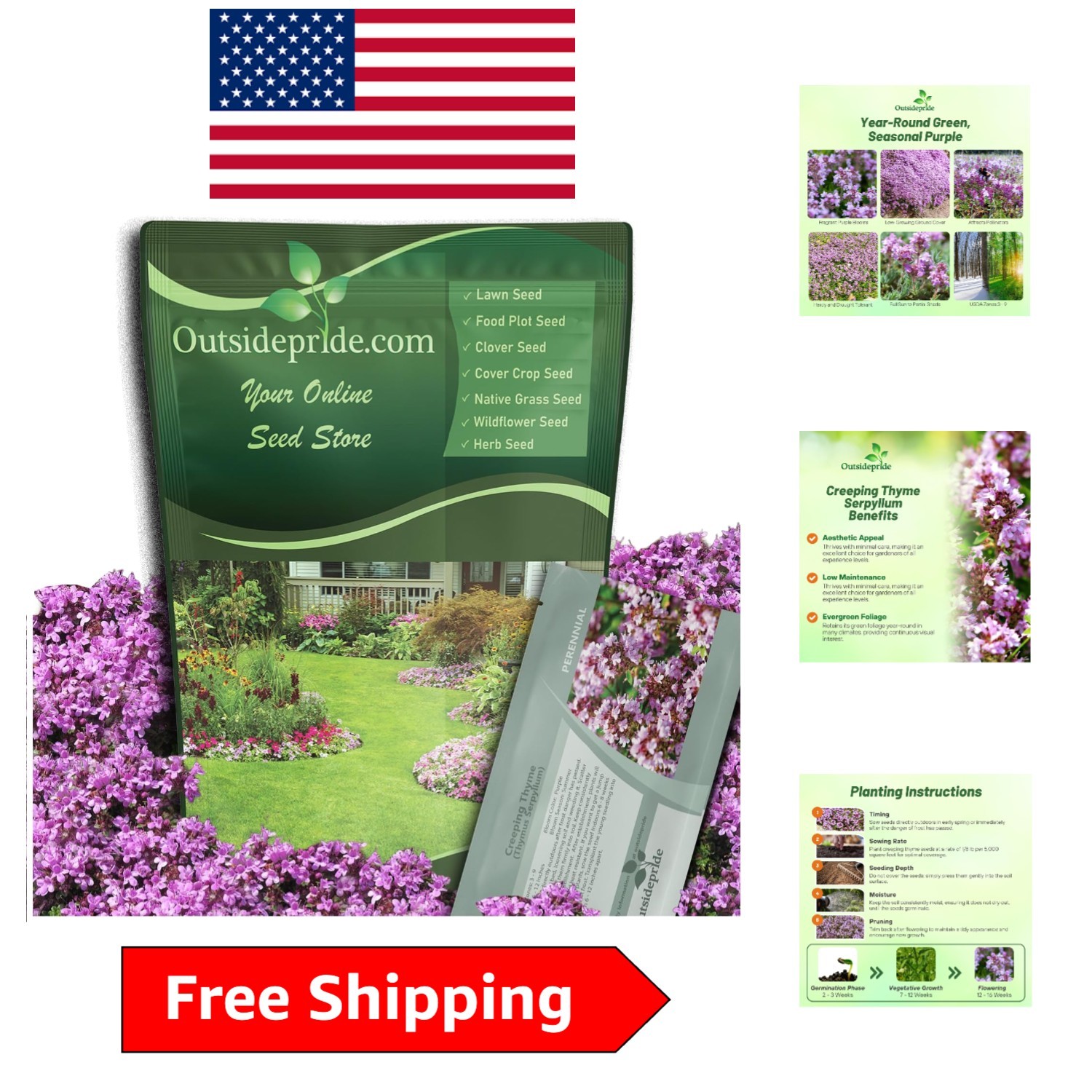Creeping Thyme Seeds – 1/2 Lb Drought Tolerant Lavender Blooms for Beautiful …