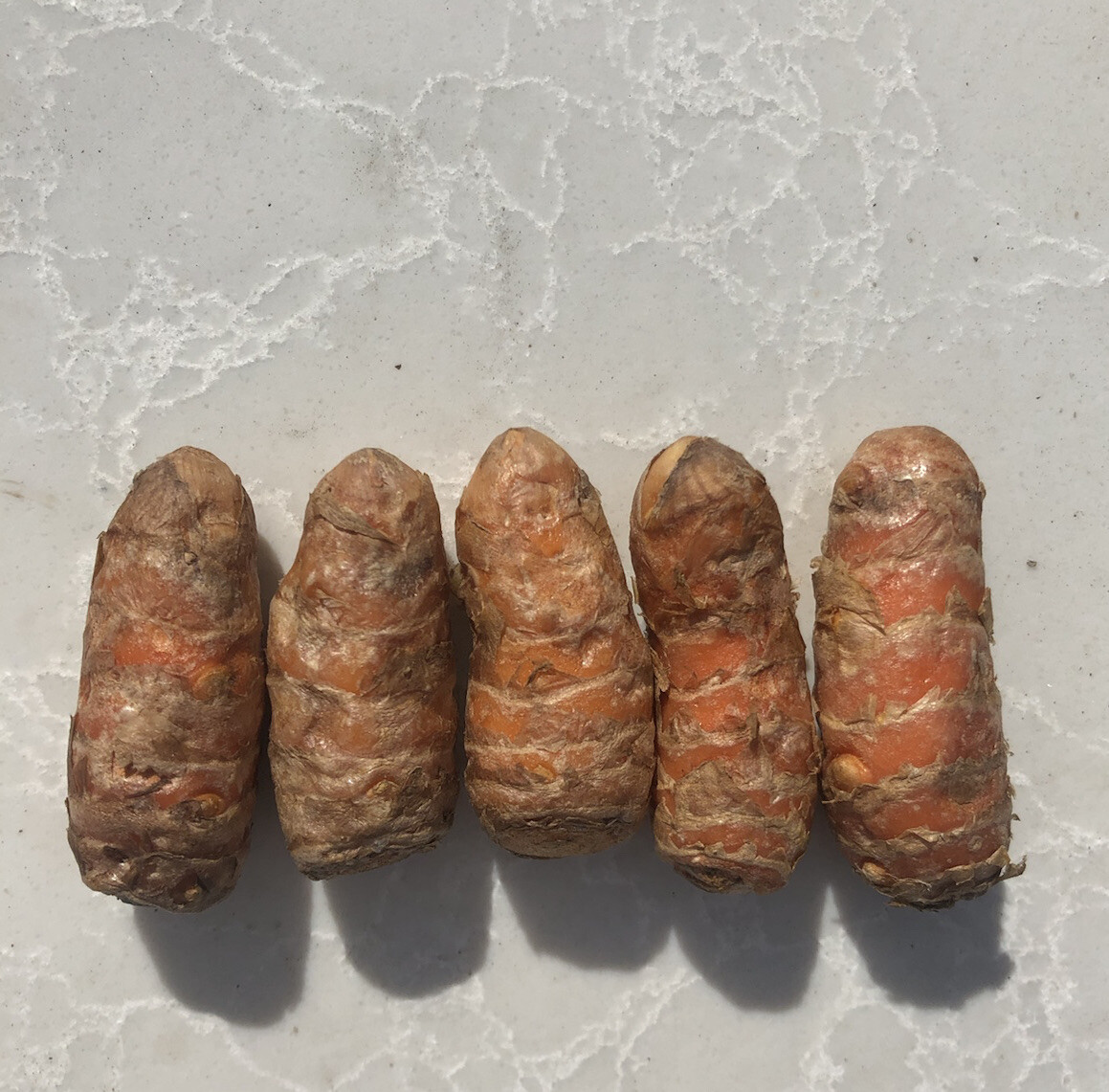 Fresh Turmeric Roots 5 PCs Curcuma Longa Ready To Plant