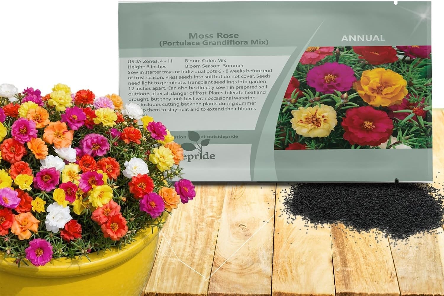 Pollinator Friendly Moss Rose Seeds – 10000 Mixed Seeds for Thriving Gardens