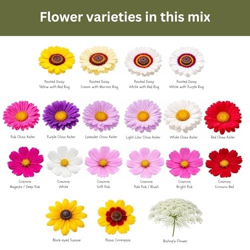 15,000+ Non-GMO Flower Seeds Mix – Zinnia, Cosmos, Larkspur & More for Bouquets
