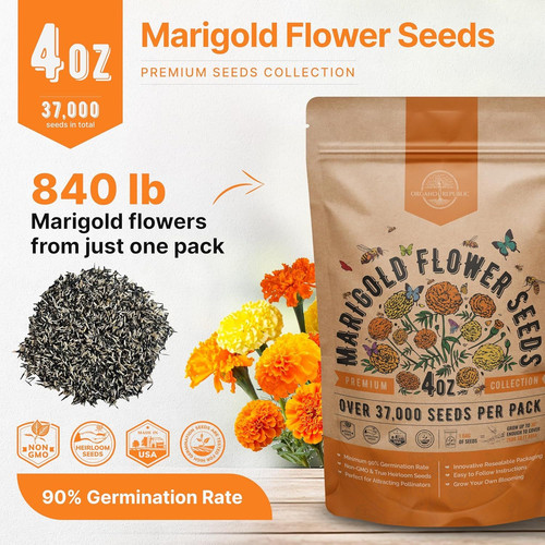 Marigold Seeds Pack 4 oz – Over 37,000 4oz, Orange, Yellow, Red, Green