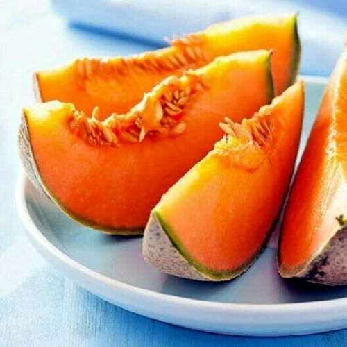 20 Charentais Melon Cantaloupe Seeds NON~GMO Organic Garden French Hybrid Plant
