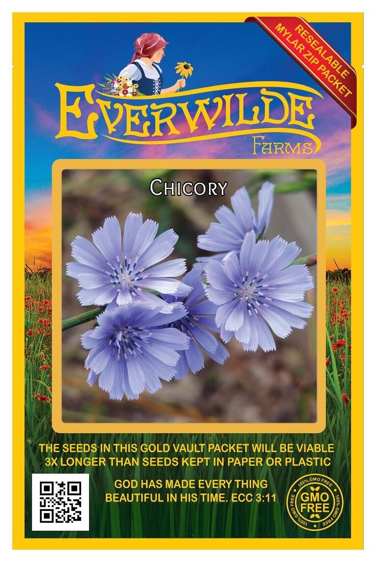 2000 Chicory Wildflower Seeds – Everwilde Farms Mylar Seed Packet