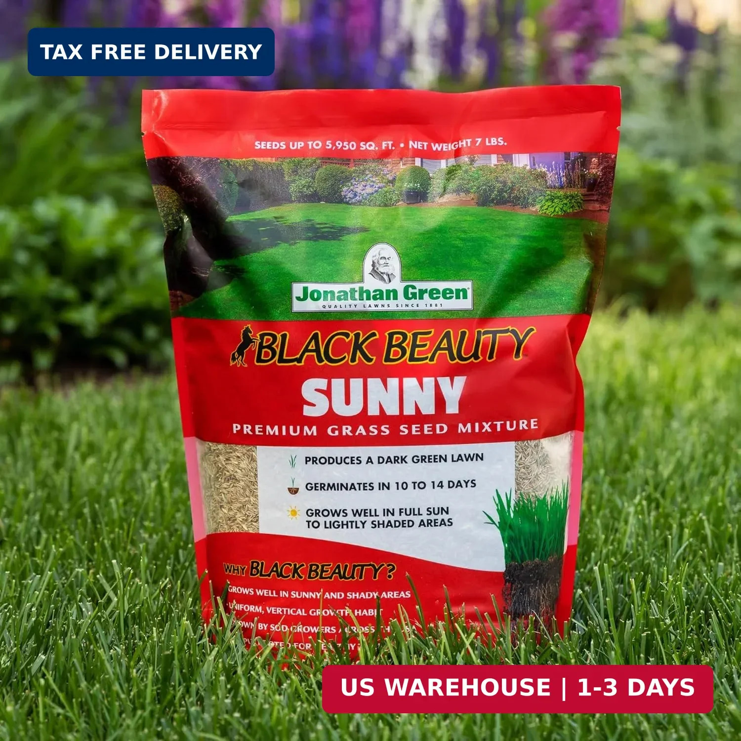 Jonathan Green (10895) Black Beauty Sunny Grass Seed – Cool Season Lawn Seed (1