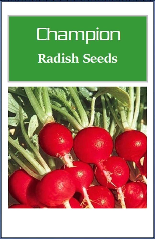 Champion Radish Seeds | NON-GMO Radish Seeds | Fresh Heirloom Garden Seeds
