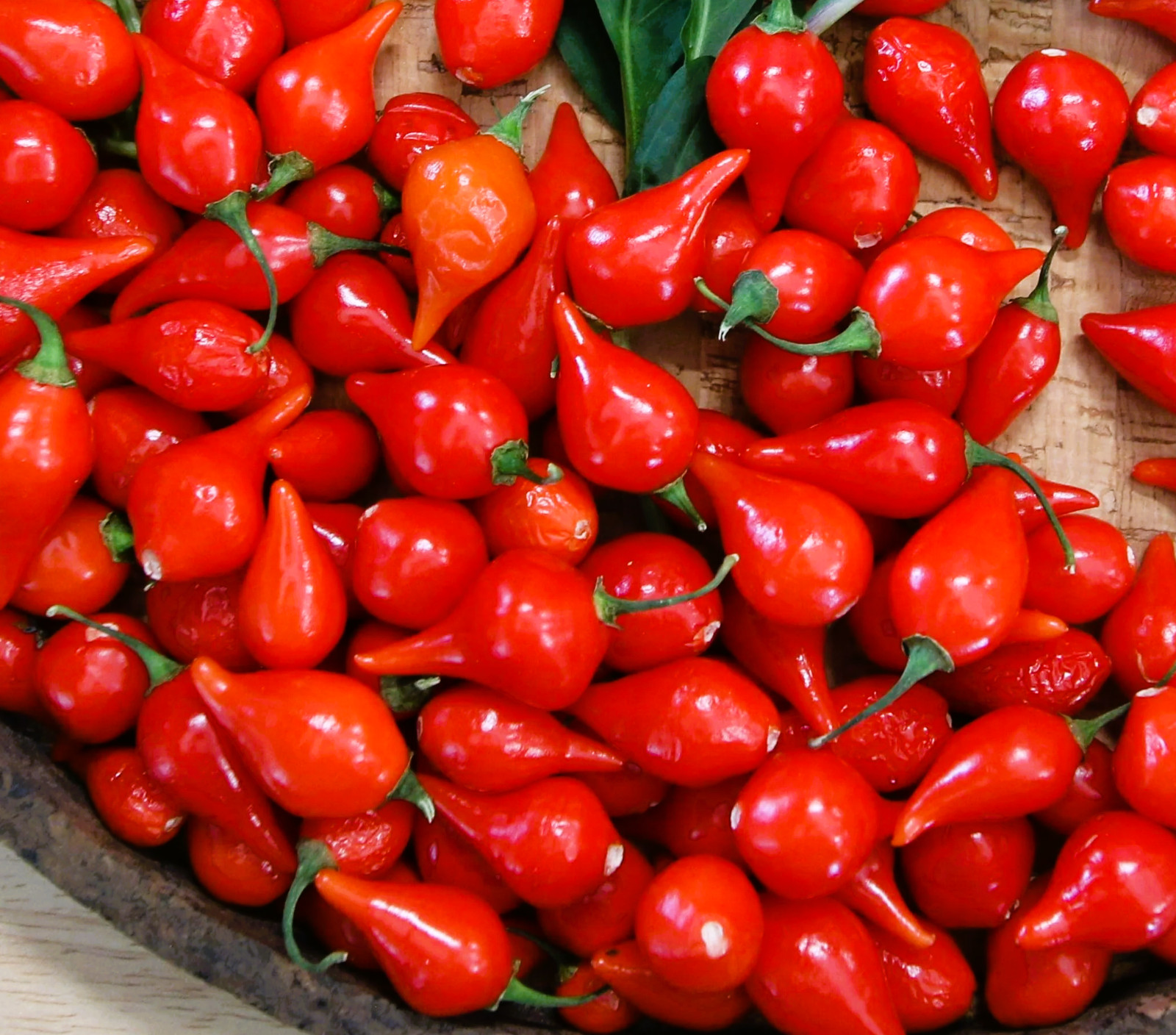 55+ SEEDS REDPEARL BIQUINHO PEPPER FRESH SEEDS, USA