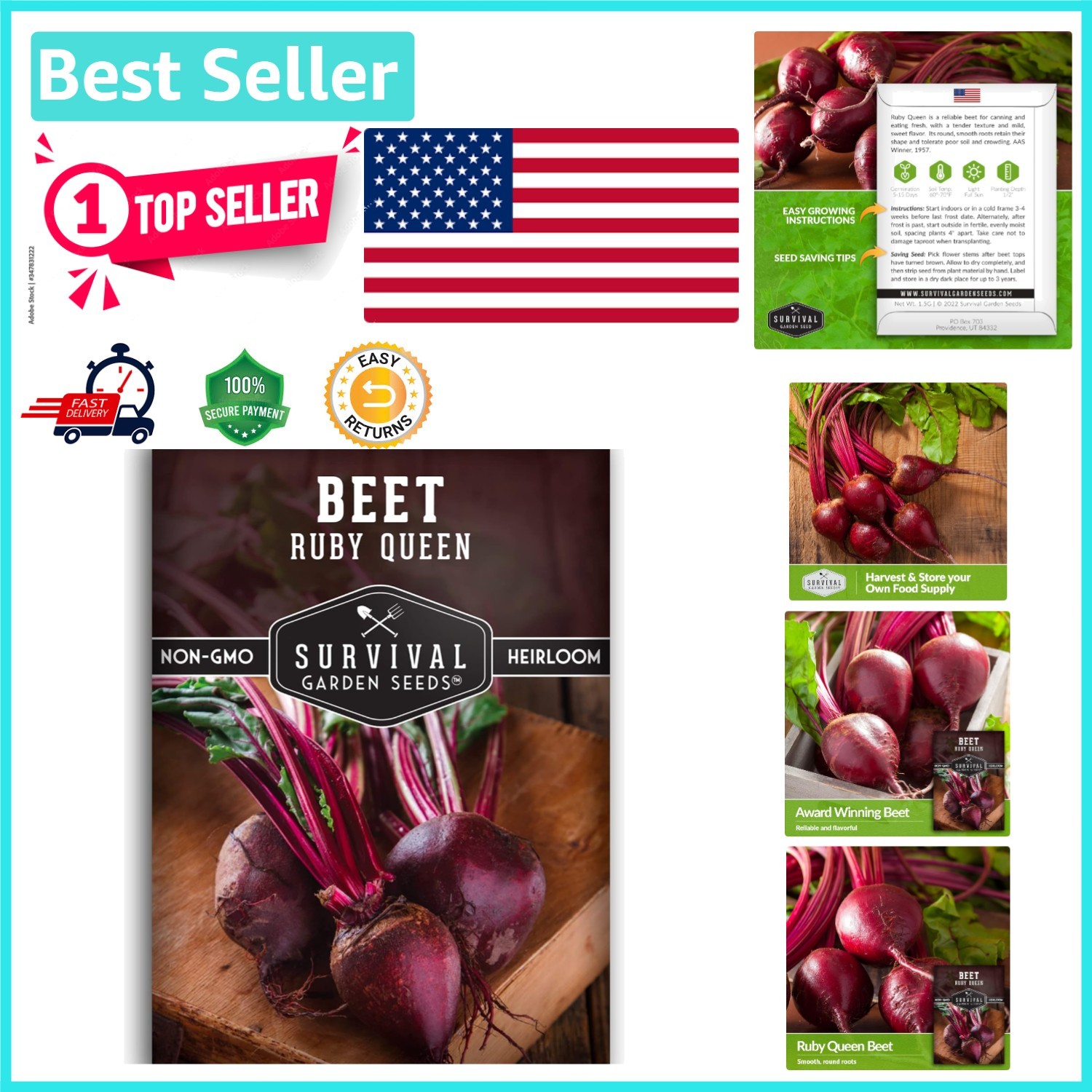 Heirloom Ruby Queen Beet Seeds – Compact, Disease Resistant, Gourmet Flavor