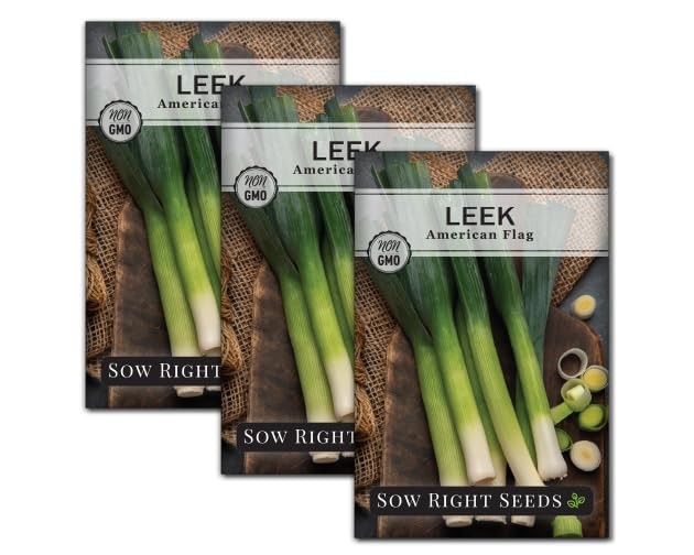 American Flag Leek Seeds – Non-GMO Heirloom Variety for Home Gardens