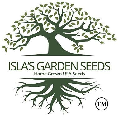 White Larkspur Rocket Flower Seeds for Planting, 250+ Seeds Per Packet, (),