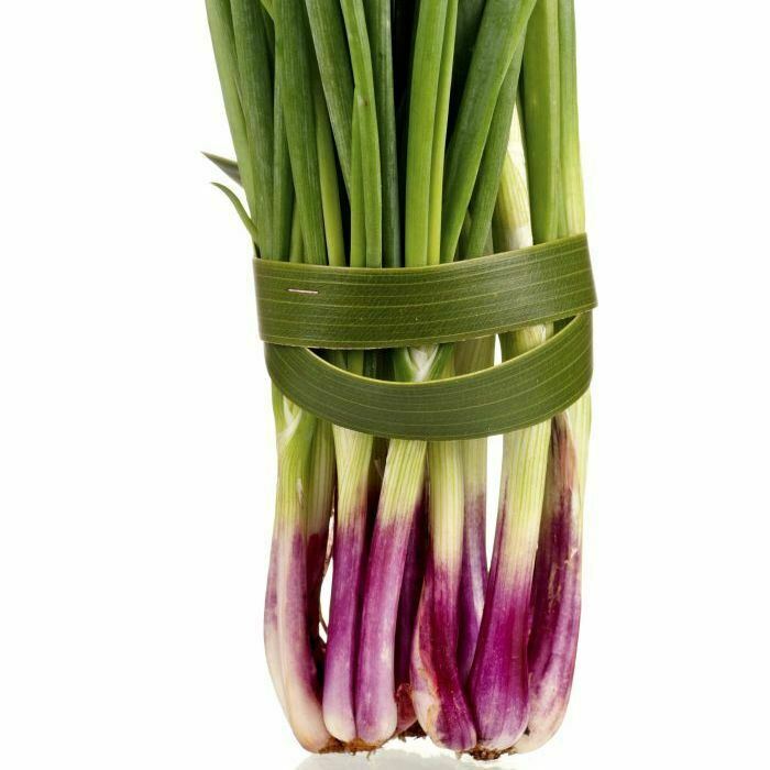 ***On Order*** 200 Red Welsh Bunching Onion Seeds, HEIRLOOM, NON-GMO