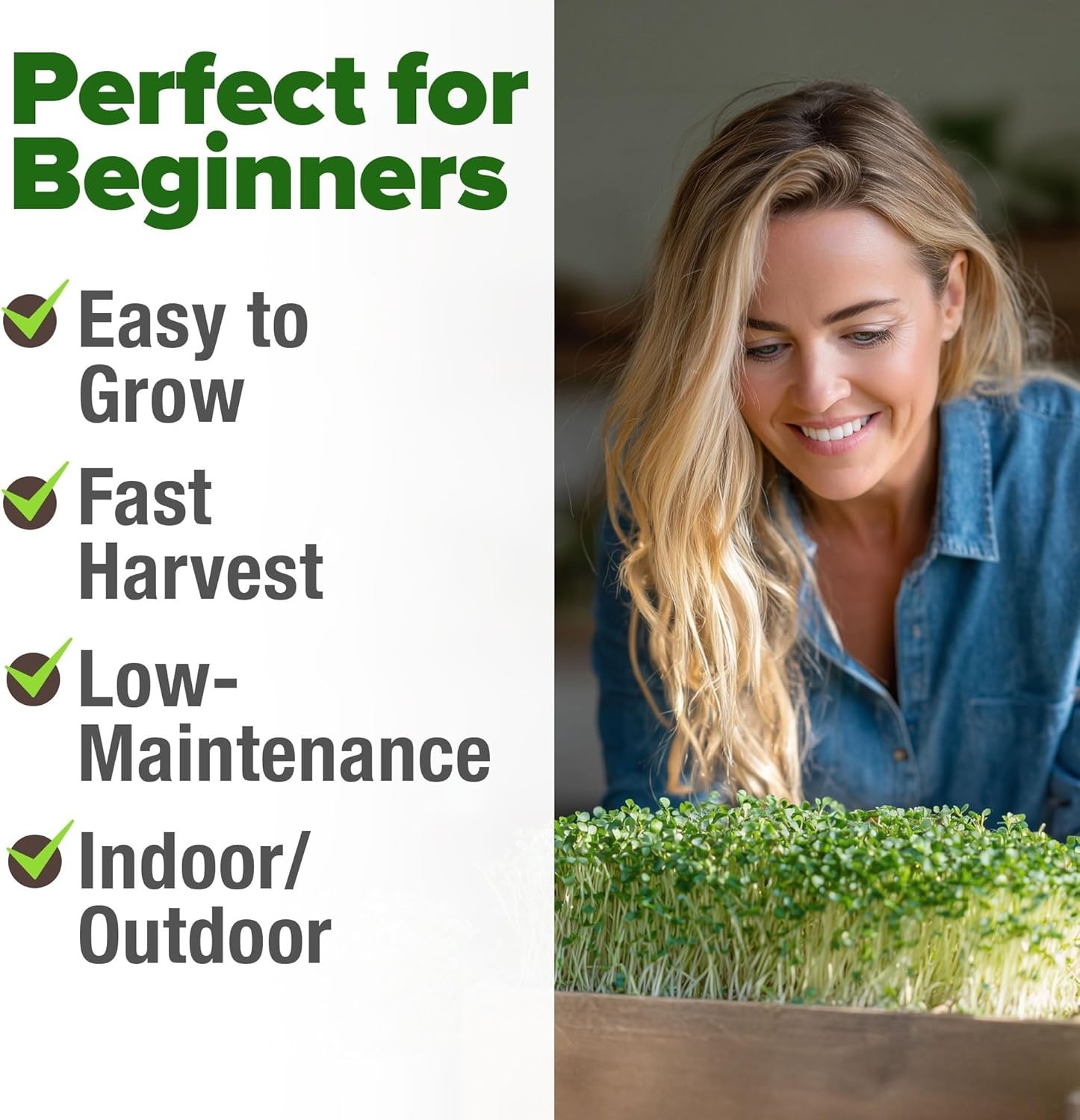 Broccoli Sprouting & Microgreens Seeds – 64,200 Non-GMO Heirloom