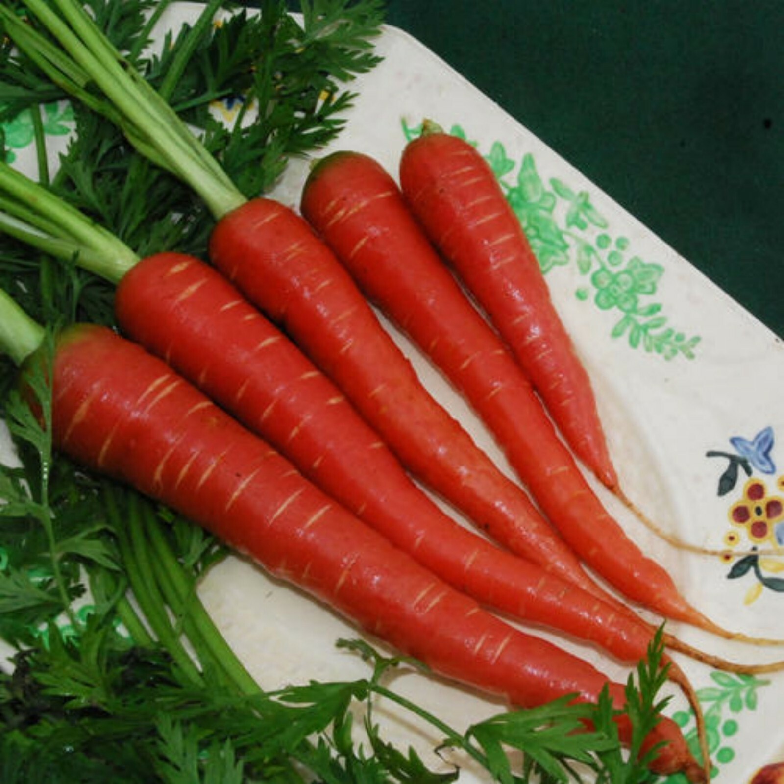 Carrot Seeds- Atomic Red- 200+ 2021 Seeds Grown in 2020