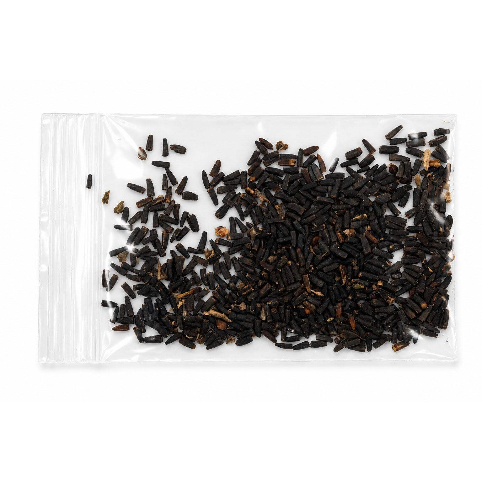 Mini Native Tall Bird Lovers Seed Mix | Prairie Legacy Inc.